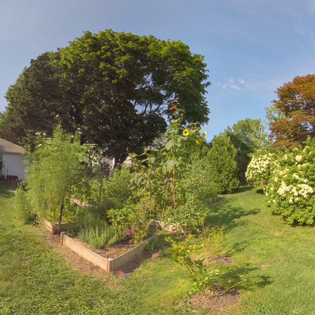 Main Garden Bed Front Corner 3D
