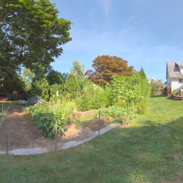 Main Garden Bed Back Corner 3D