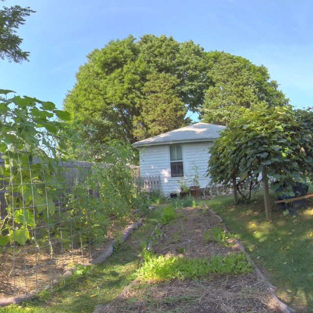 Tomato Garden Side 3D