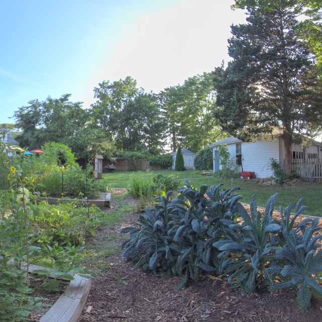 Main Garden Bed Back 3D