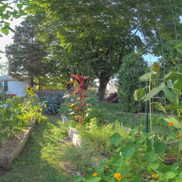 Under the Main Garden Trellis